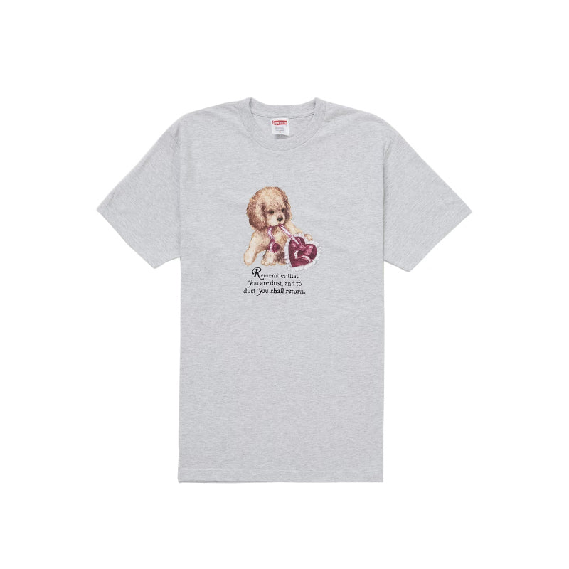 Supreme Dust Tee Ash Grey